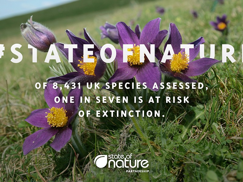 No let-up in net loss of UK's nature