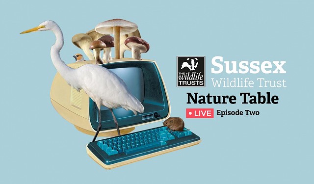 Nature Table Live webinar (12/11/20)