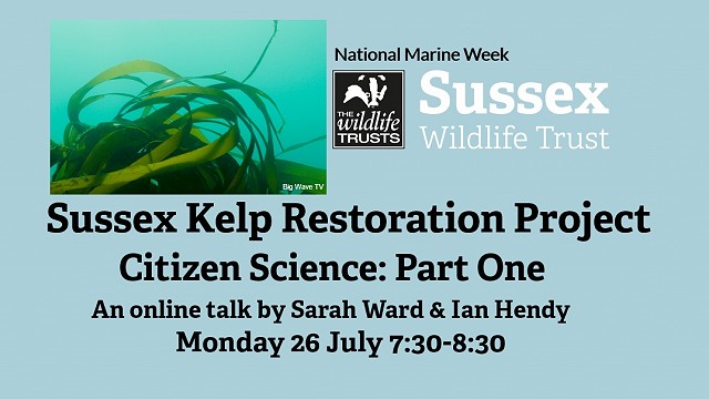 Sussex Kelp Restoration Project: Citizen Science Part One