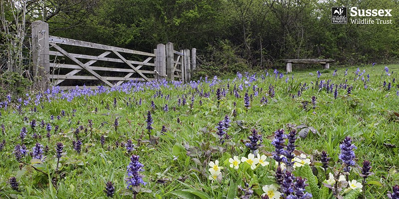 Marline Valley nature reserve © Nigel Symington