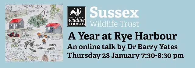 A Year at Rye Harbour: An Illustrated Talk by Dr Barry Yates