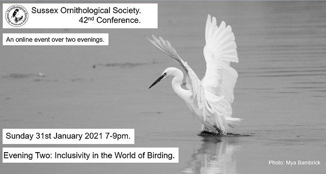 Sussex Ornithological Conference 2021 - Day 2