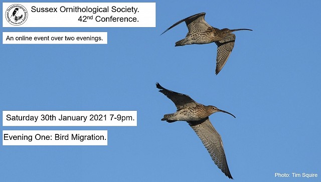 Sussex Ornithological Conference 2021 - Day 1