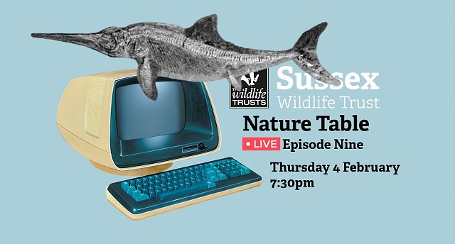 Nature Table Live episode 9 (4/02/21)