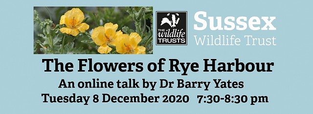 The Flowers of Rye Harbour