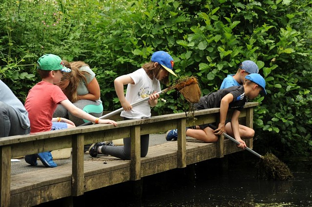 Woods Mill Wild Woodies Spring Holiday Club (09/04/2019)