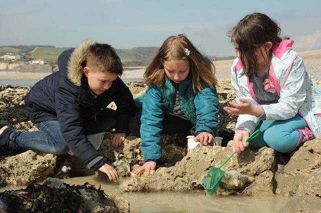 Rockpool Ramble (11/04/2019)