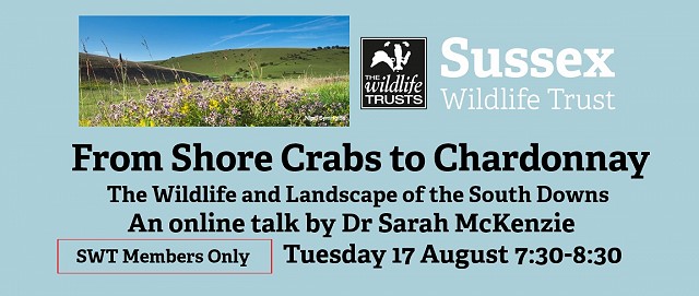 From Shore Crabs to Chardonnay - Members Only