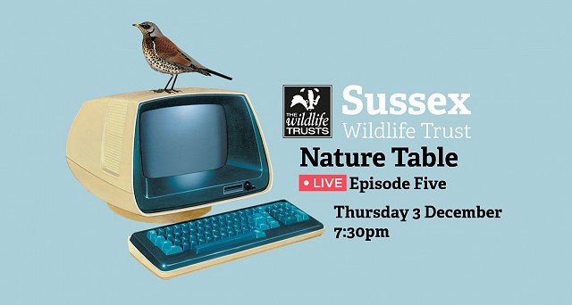 Nature Table Live episode 5 (3/12/20)