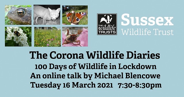 The Corona Wildlife Diaries: 100 Days of Wildlife in Lockdown