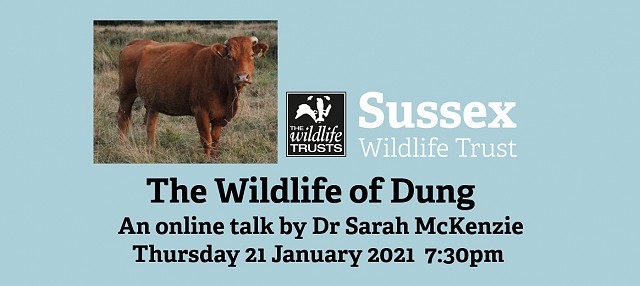 The Wildlife of Dung