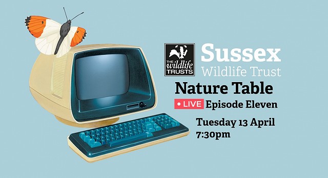 Nature Table Live webinar (13/04/21)