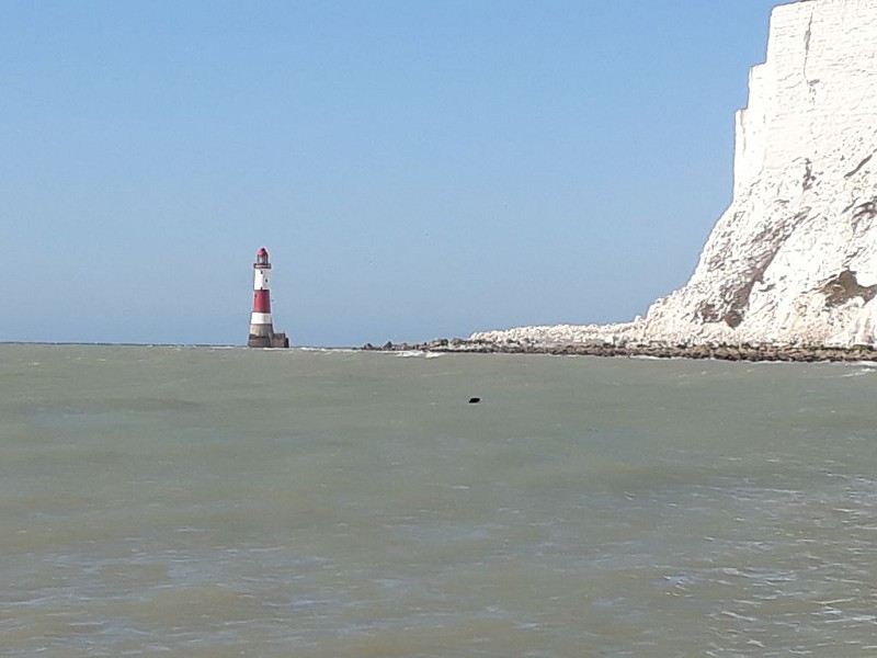 Sussex by the Sea