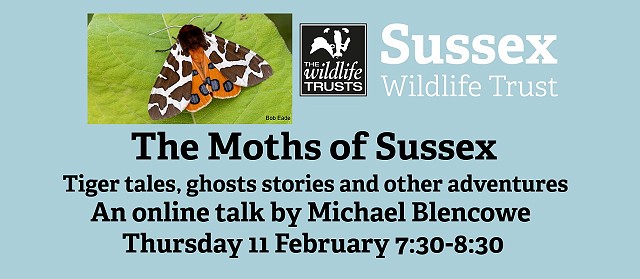 The Moths of Sussex