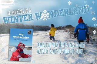 My Wild Winter