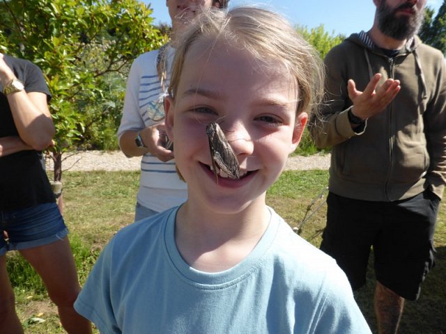 A Night Under the Seven Sisters Stars (23 and 24/06/18)