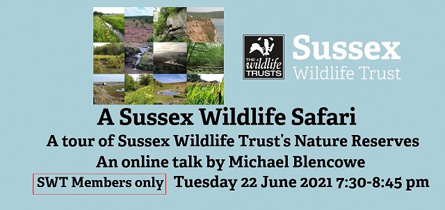 A Sussex Wildlife Safari - Members only