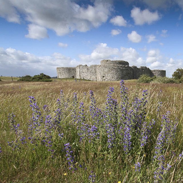 Castle and Wildlife Walk