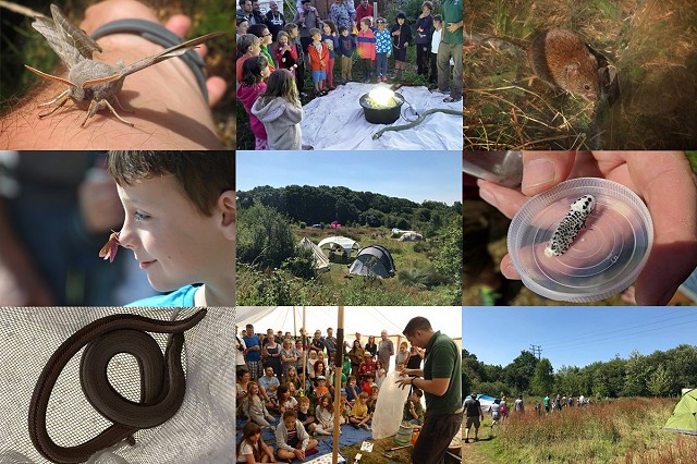The Secret Wildlife Festival 2019 (28 - 30/06/19)