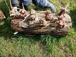 Rye Harbour - Nature Tots (06/10/2021)
