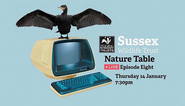 Nature Table Live episode 8 (14/01/21)